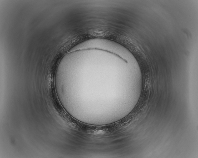 X0000111210647200907221152