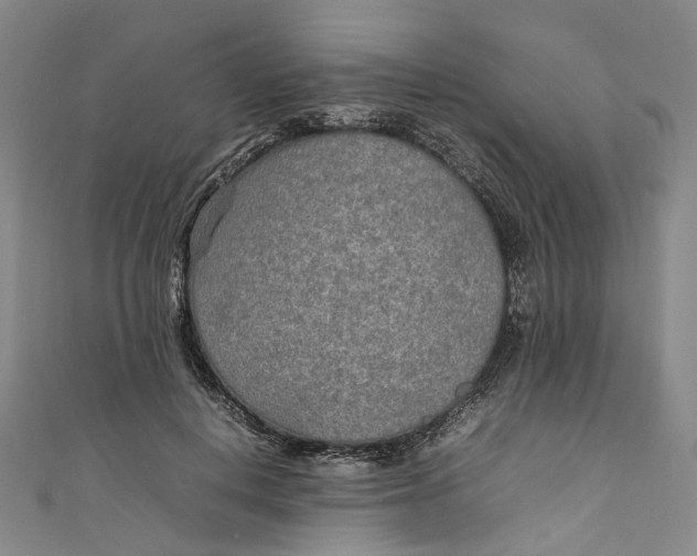 X0000111210648200907221152