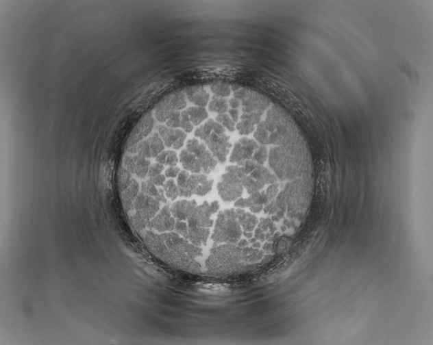 X0000111210649200907221152