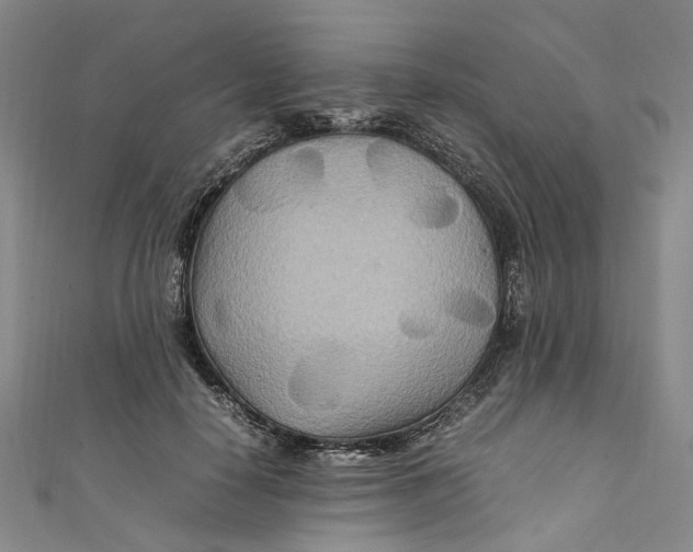 X0000111210650200907221152