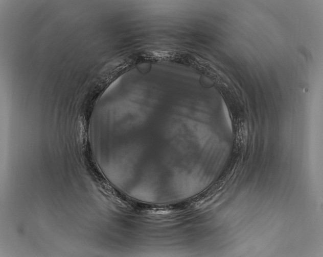 X0000111210651200907221152