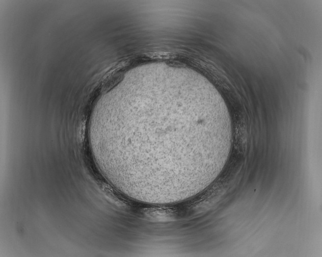 X0000111210652200907221152