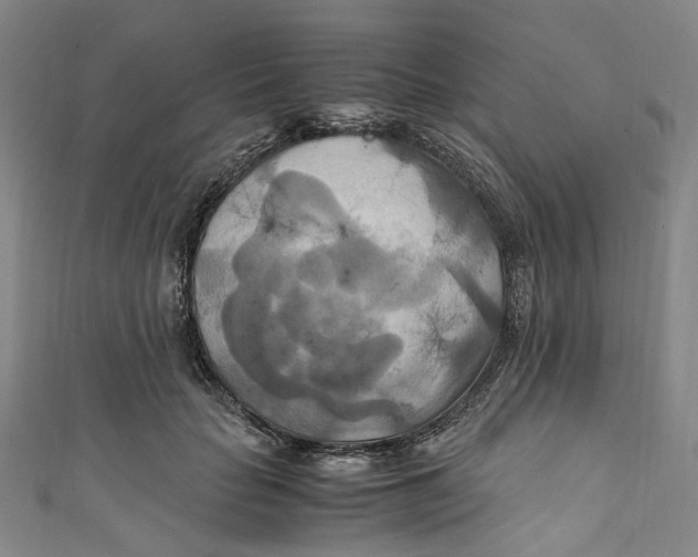 X0000111210653200907221152