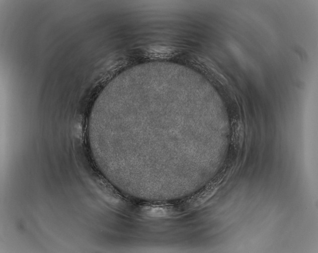 X0000111210655200907221152