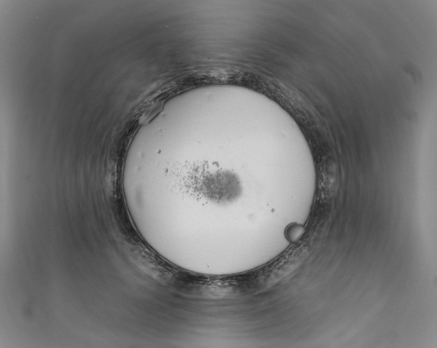 X0000111210656200907221152