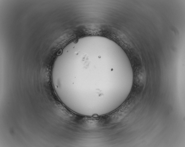 X0000111210658200907221152