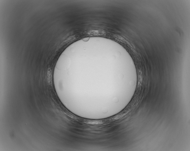 X0000111210659200907221152