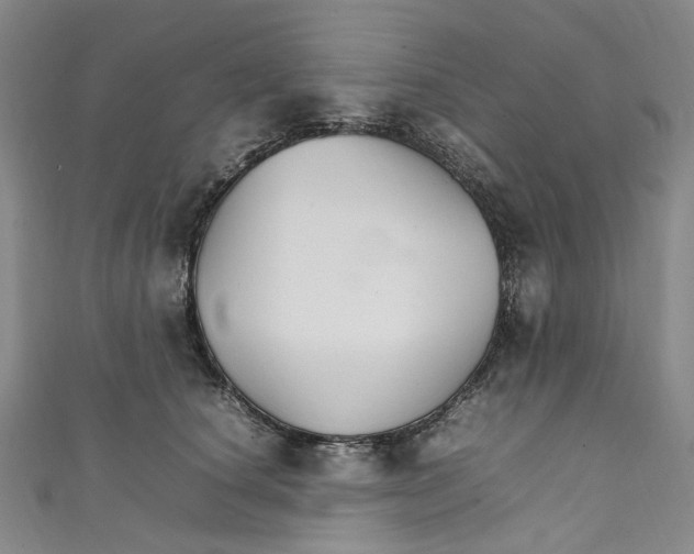 X0000111210660200907221152