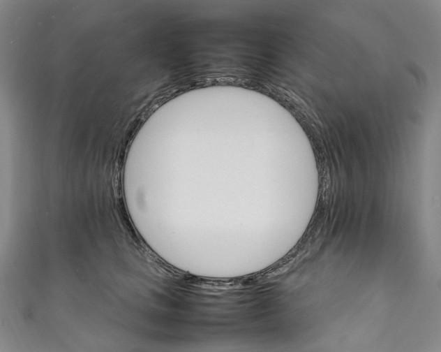 X0000111210661200907221152