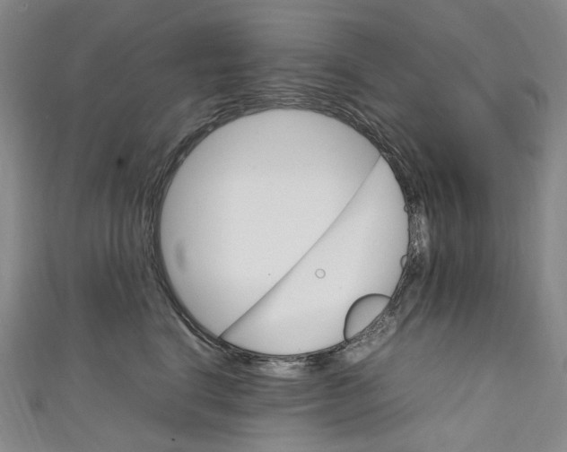 X0000111210664200907221152