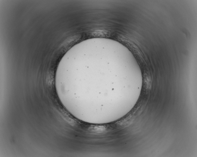 X0000111210665200907221152