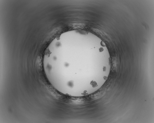 X0000111210667200907221152