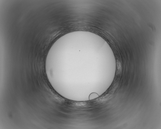 X0000111210668200907221152