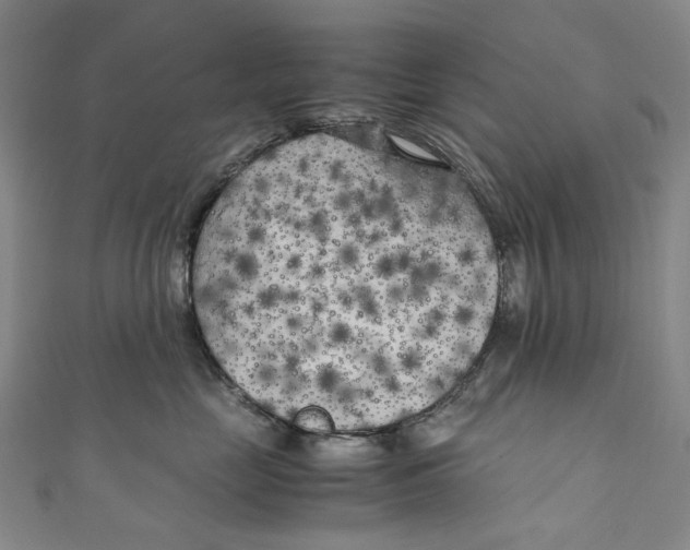 X0000111210669200907221152