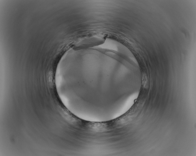 X0000111210670200907221152