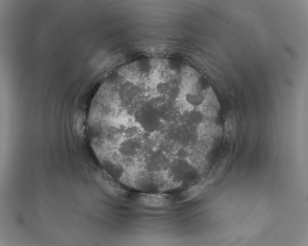 X0000111210671200907221152