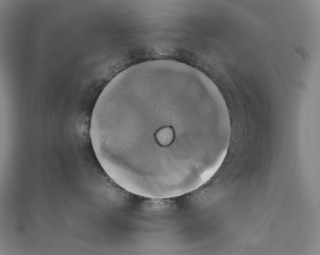 X0000111210672200907221152