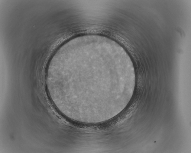 X0000111210673200907221152