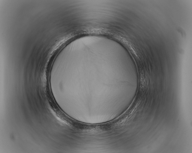 X0000111210674200907221152