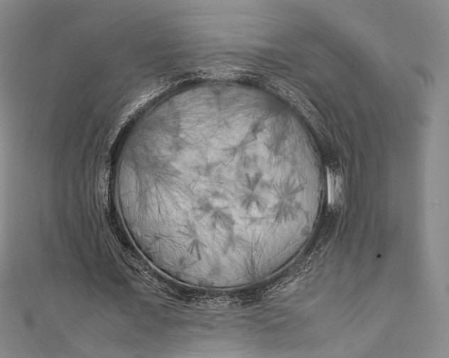 X0000111210675200907221152