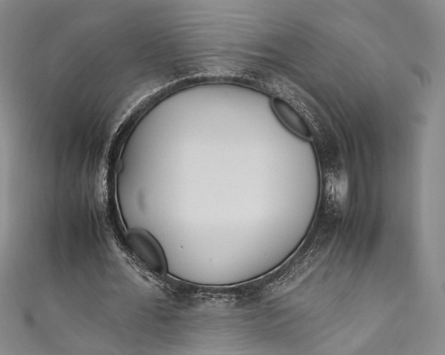 X0000111210676200907221151