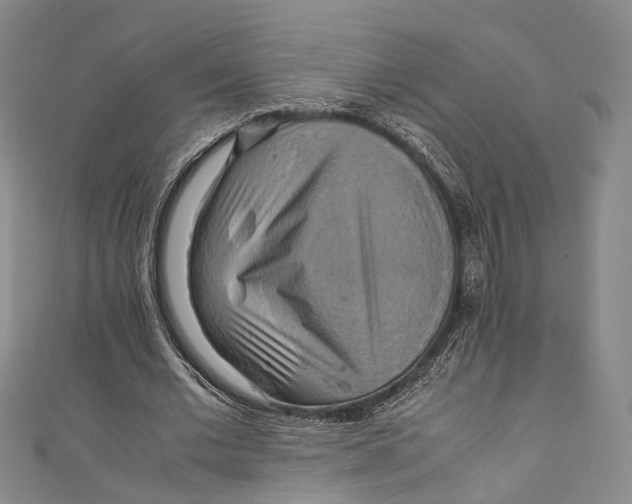 X0000111210677200907221151