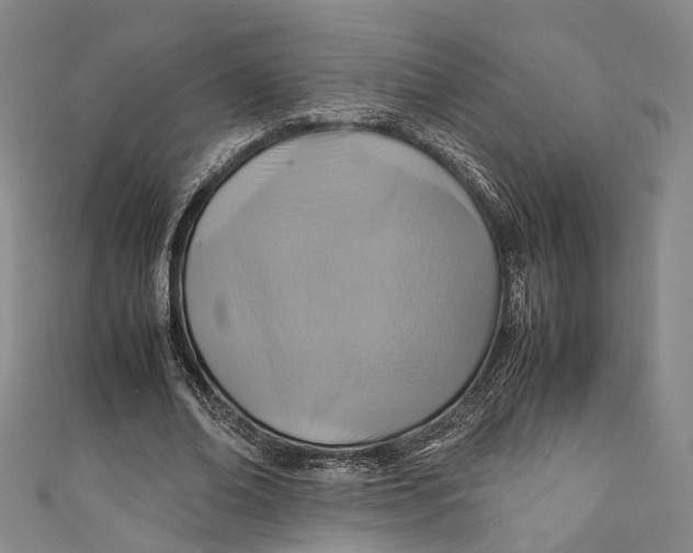 X0000111210678200907221151