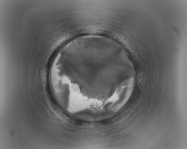 X0000111210679200907221151