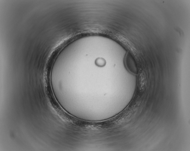 X0000111210680200907221151