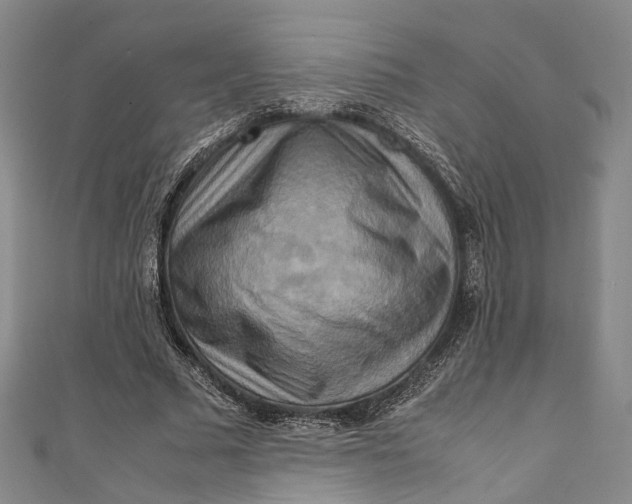 X0000111210681200907221151