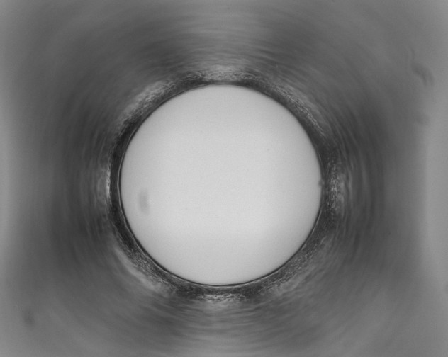 X0000111210686200907221151