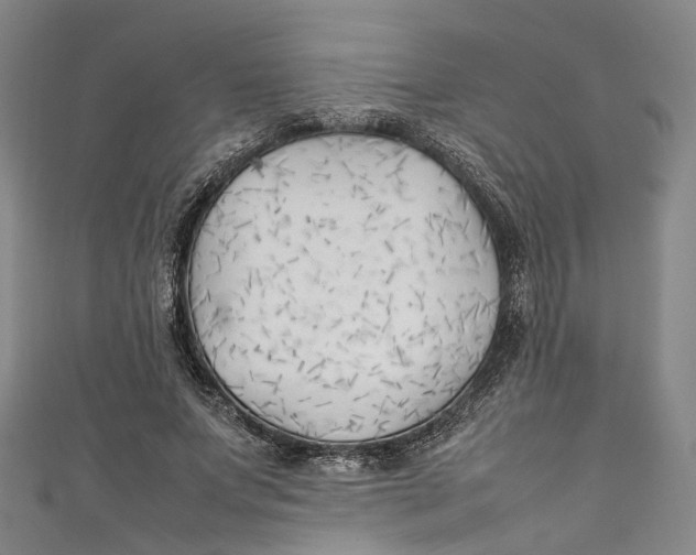 X0000111210687200907221151