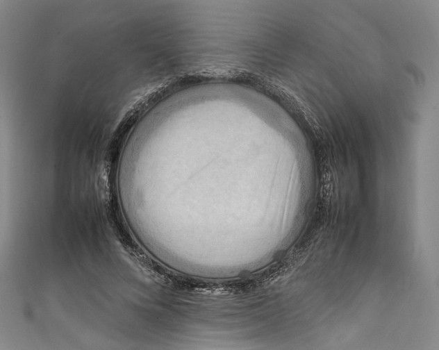 X0000111210688200907221151