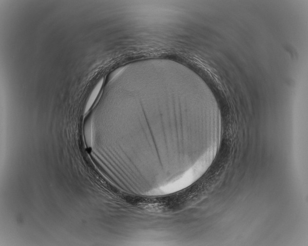 X0000111210689200907221151