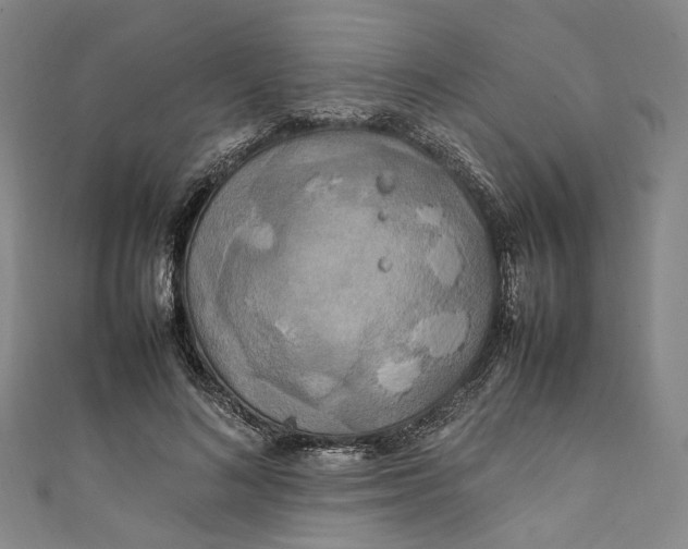 X0000111210692200907221151