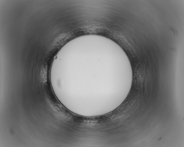 X0000111210694200907221151