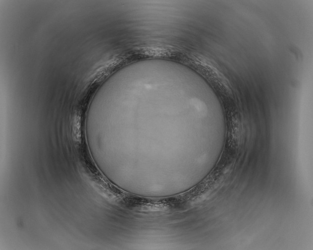 X0000111210696200907221151