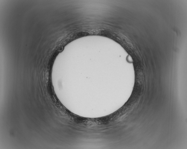 X0000111210697200907221151