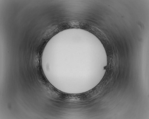 X0000111210702200907221151