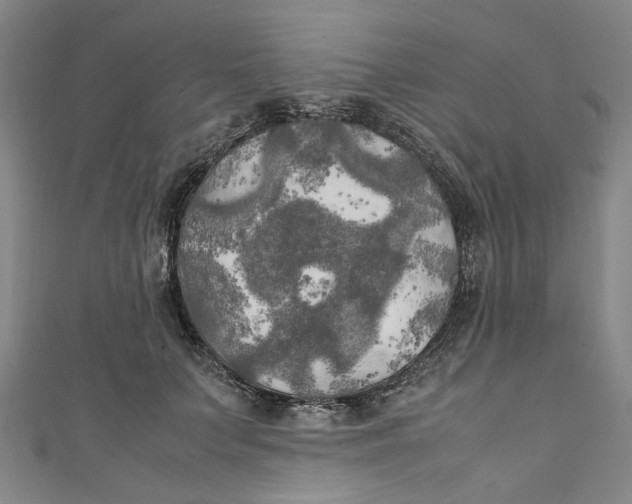 X0000111210703200907221151