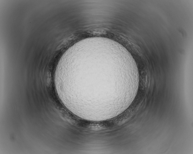 X0000111210704200907221151