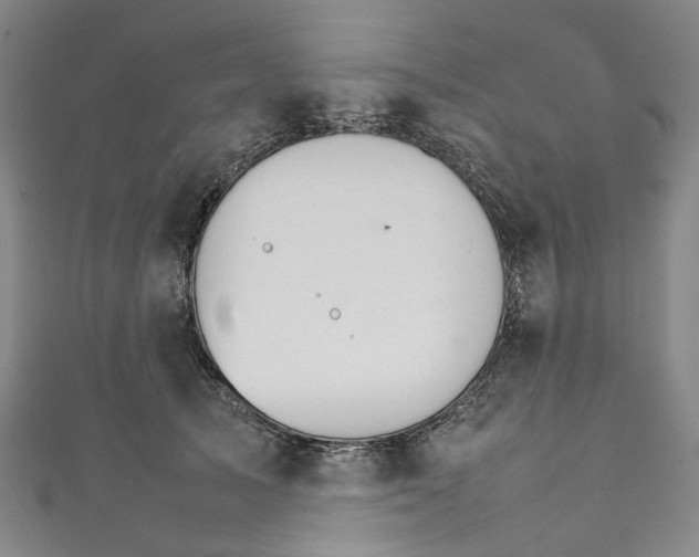 X0000111210705200907221151