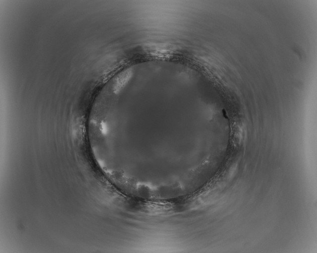 X0000111210707200907221151