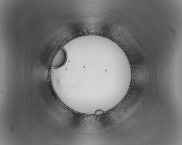 X0000111210709200907221151