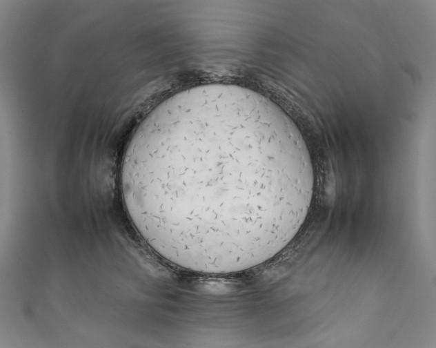 X0000111210710200907221151