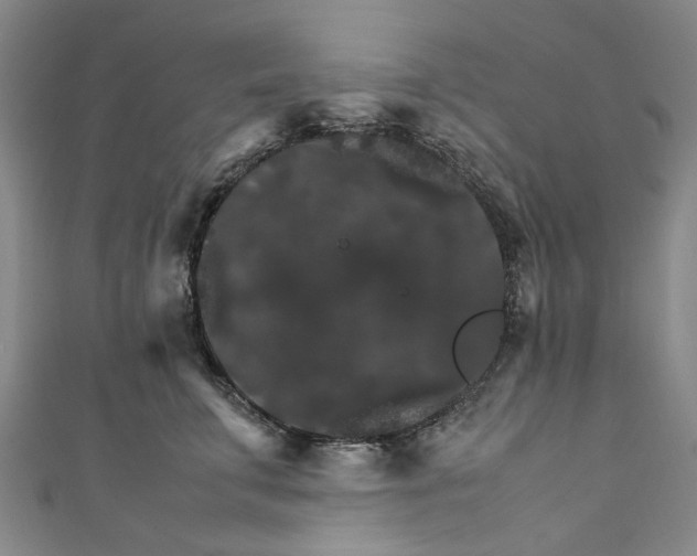 X0000111210711200907221151