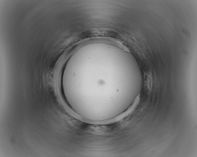 X0000111210712200907221151