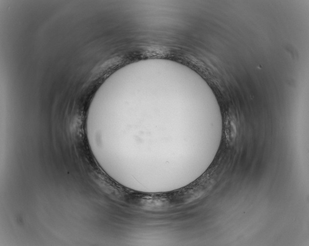 X0000111210714200907221151