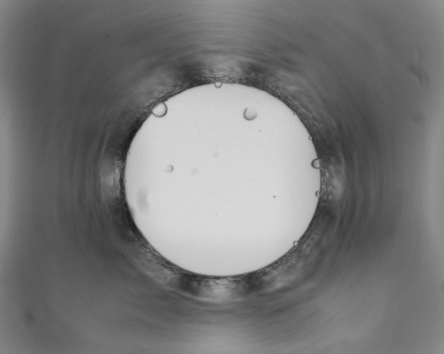 X0000111210717200907221151