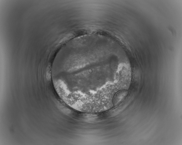 X0000111210719200907221151